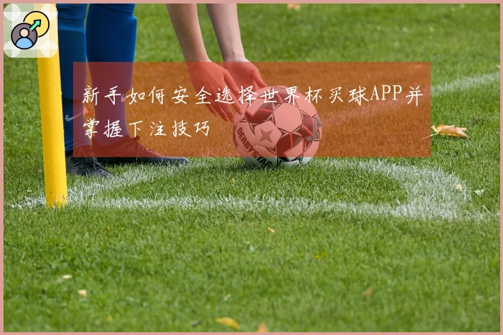 新手如何安全选择世界杯买球APP并掌握下注技巧
