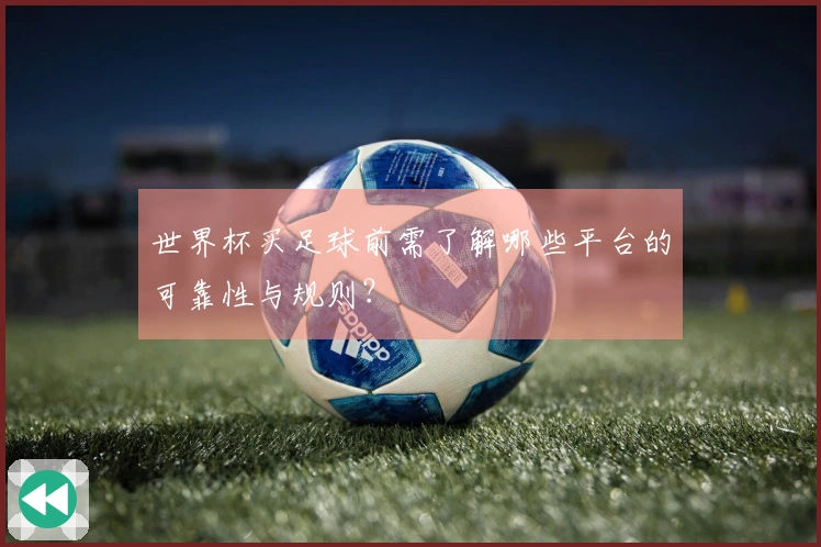 世界杯买足球前需了解哪些平台的可靠性与规则？