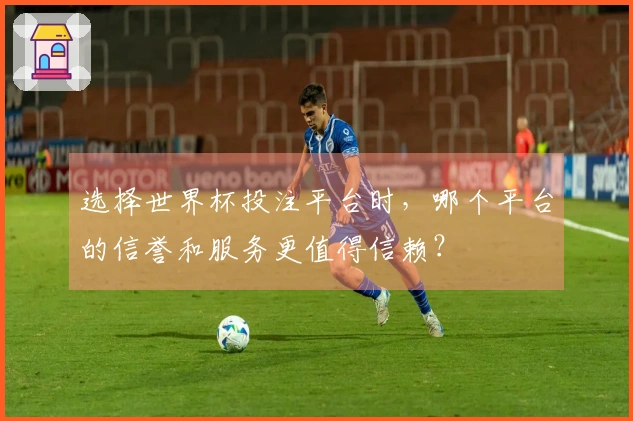 选择世界杯投注平台时，哪个平台的信誉和服务更值得信赖？