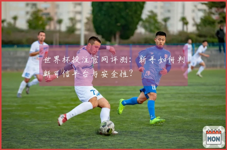 世界杯投注官网评测：新手如何判断可信平台与安全性？