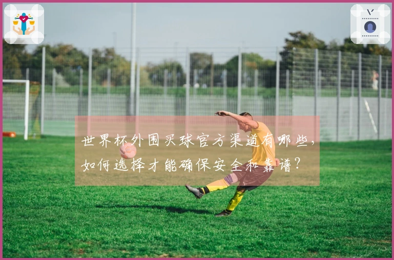 世界杯外围买球官方渠道有哪些，如何选择才能确保安全和靠谱？