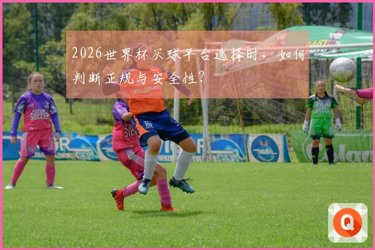 2026世界杯买球平台选择时，如何判断正规与安全性？