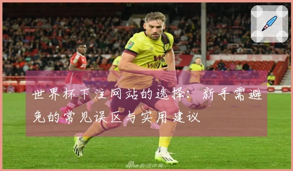 世界杯下注网站的选择：新手需避免的常见误区与实用建议