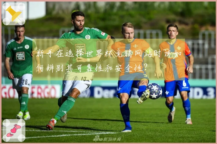 新手在选择世界杯竞猜网站时该如何辨别其可靠性和安全性？