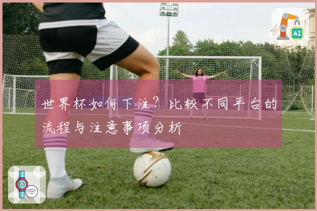 世界杯如何下注？比较不同平台的流程与注意事项分析