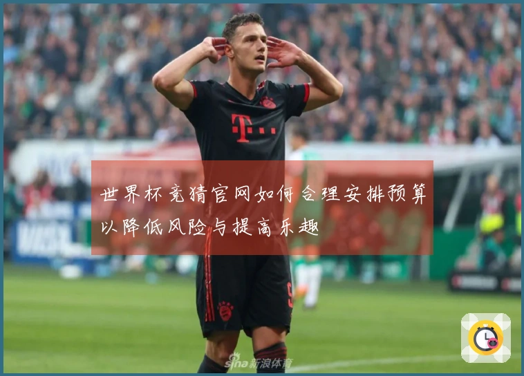 世界杯竞猜官网如何合理安排预算以降低风险与提高乐趣