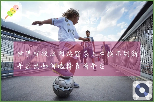 世界杯投注网站登录入口找不到新手应该如何选择靠谱平台