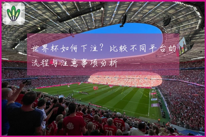 世界杯如何下注？比较不同平台的流程与注意事项分析