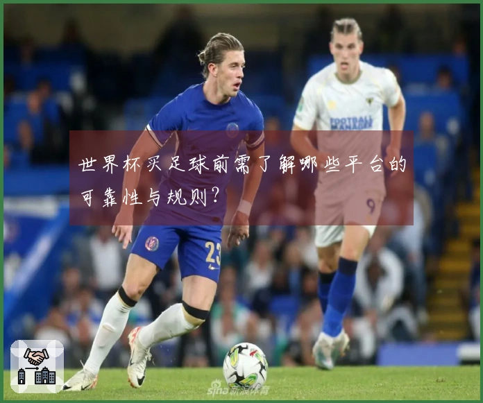 世界杯买足球前需了解哪些平台的可靠性与规则？