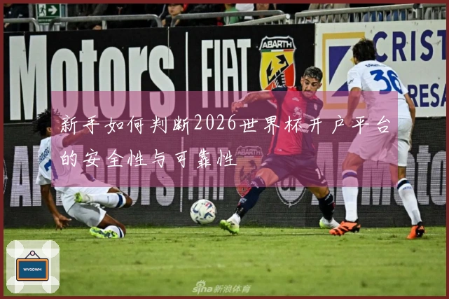 新手如何判断2026世界杯开户平台的安全性与可靠性