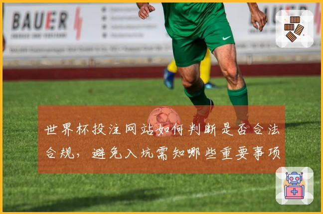 世界杯投注网站如何判断是否合法合规，避免入坑需知哪些重要事项