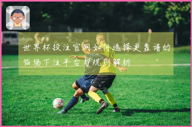 世界杯投注官网如何选择更靠谱的临场下注平台与规则解析